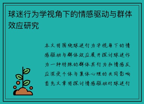 球迷行为学视角下的情感驱动与群体效应研究 球迷行为学视角下的情感驱动与群体效应研究